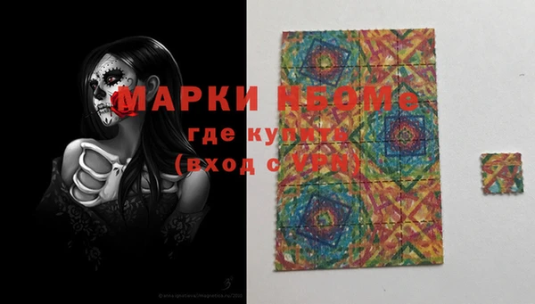 индика Верея
