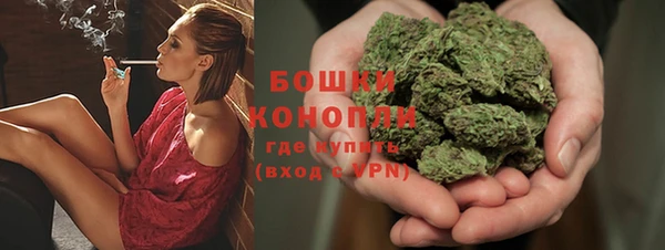индика Верея