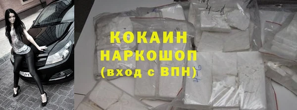 индика Верея