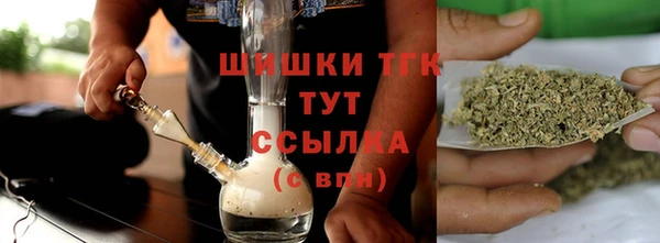 индика Верея