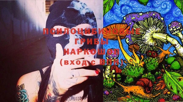 индика Верея
