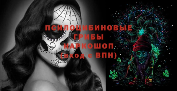 дурь Верхний Тагил