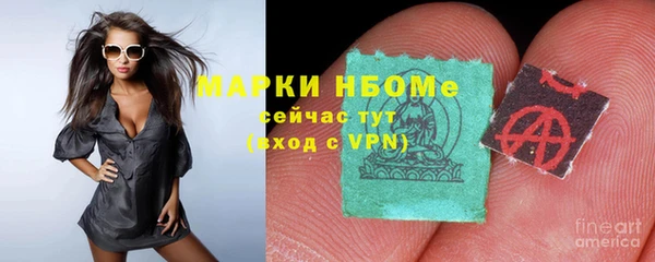 индика Верея